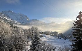 Beausite Park Hotel Wengen